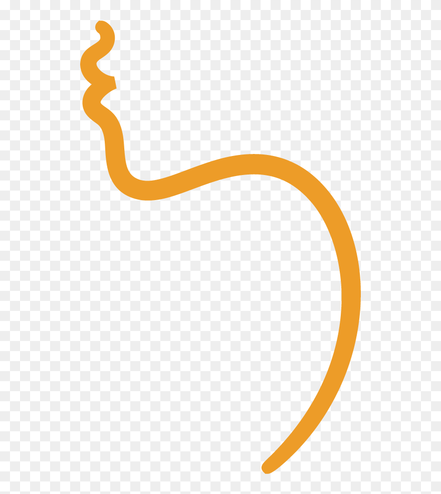 Clip Art - Png Download