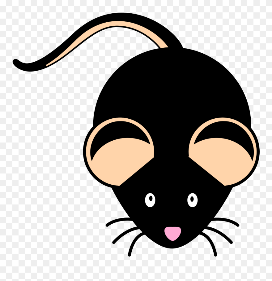 Black Mouse C57bl/6 Svg Clip Arts - Black Mouse Clipart - Png Download ...