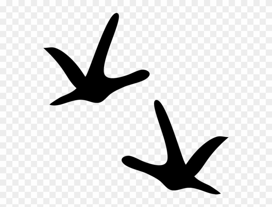 Cartoon Chicken Tracks Clipart - Turkey Track Drive - Png Download