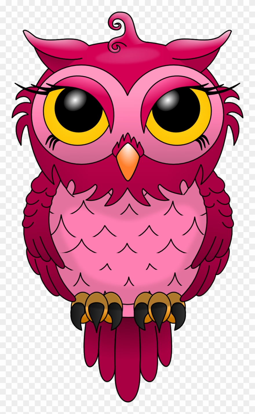 Chouette Les Chouettes - Owl Pink Clipart