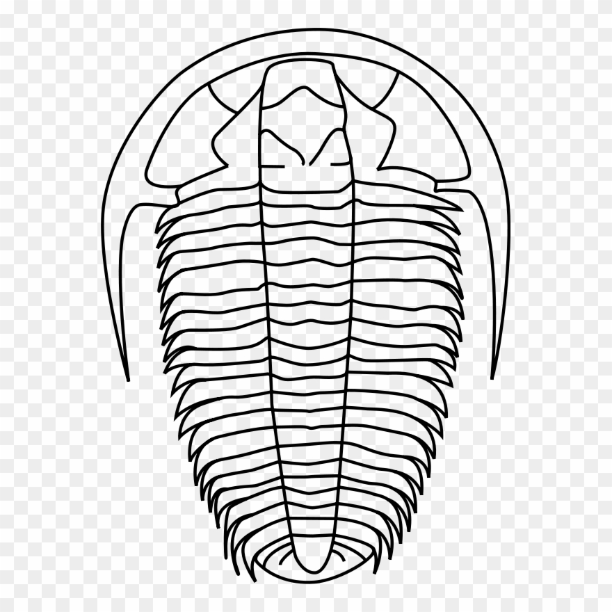 Clip Art Tags - Trilobite Clipart - Png Download