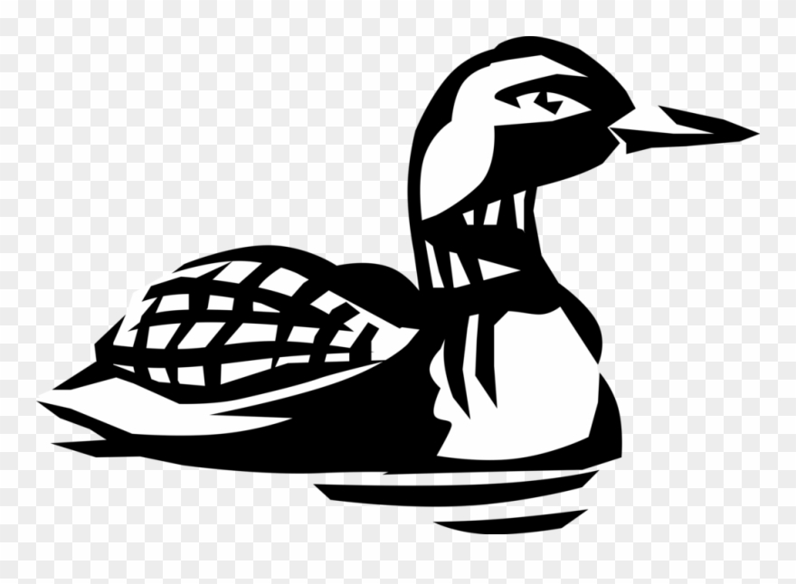 Vector Illustration Of North American Aquatic Diving Clipart