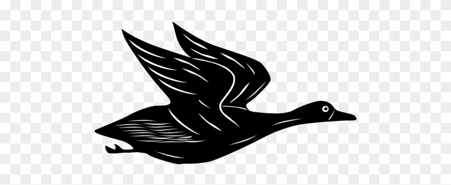 Cartoon Flying Duck Gif Clipart