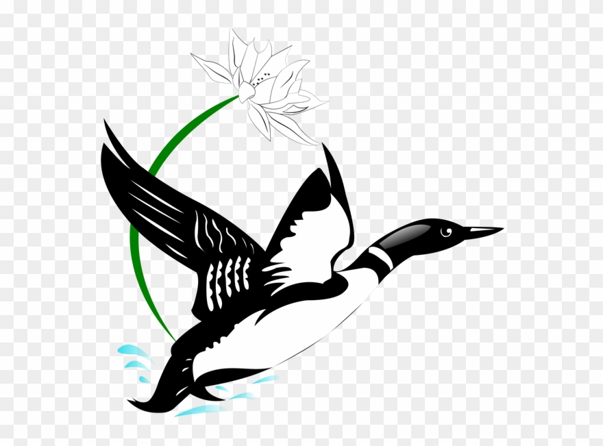 The Chisago-lindstrom Lakes Association Serves Residents - Loon Drawing Clipart