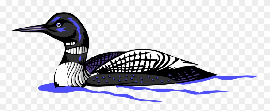 Vector Illustration Of North American Aquatic Diving - Loon Clip Art - Png Download