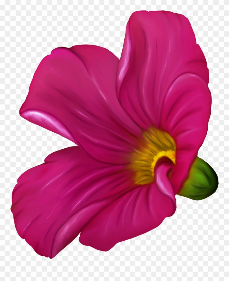 Clip Art - Png Download