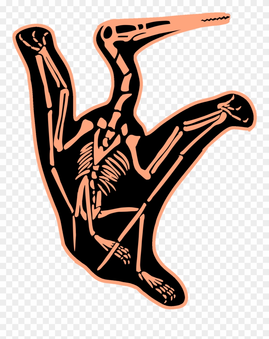 Add To Cart - Loon Clipart