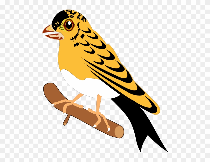 Bird Clipart