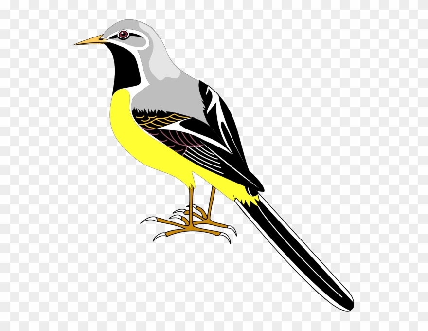 Cartoon Sparrow Png Clipart