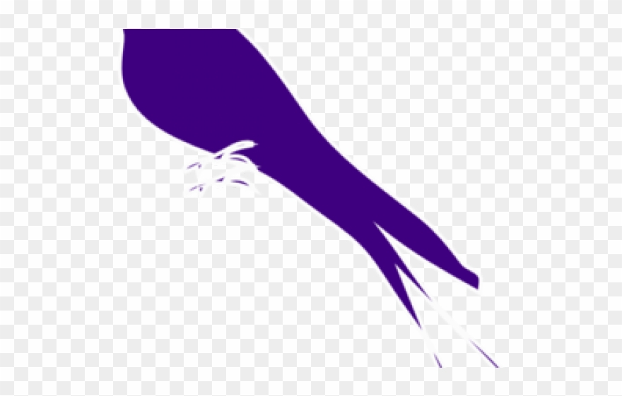 Finch Clipart Songbird - Mockingbird - Png Download