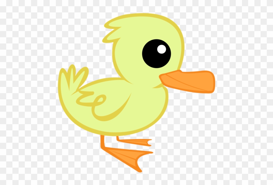 Images Related To Image - Duck Clipart