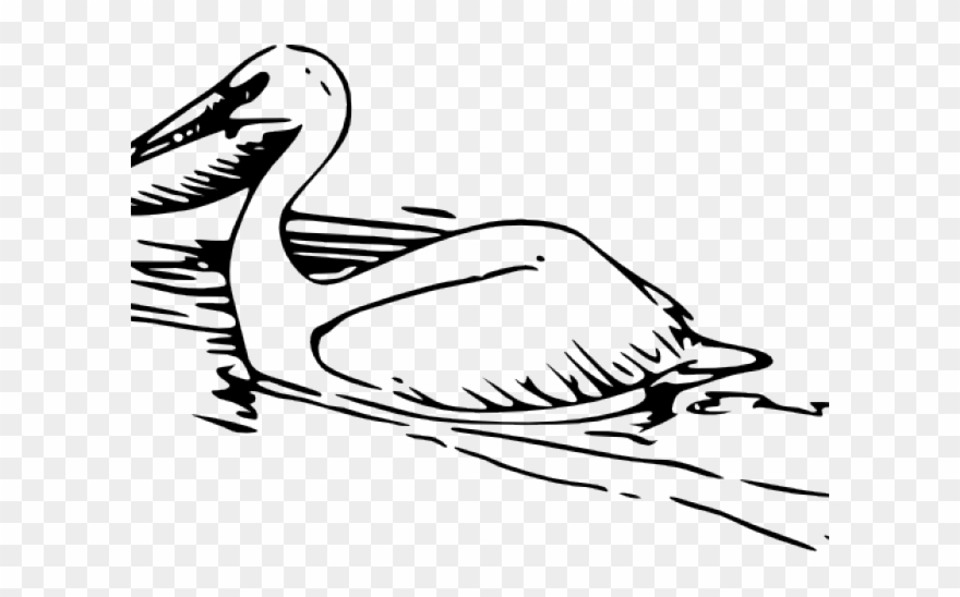 Pelican Clipart Black And White - Png Download