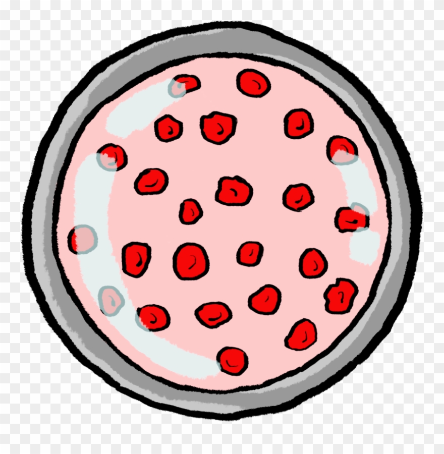 Petitbernat Analisis - Circle Clipart