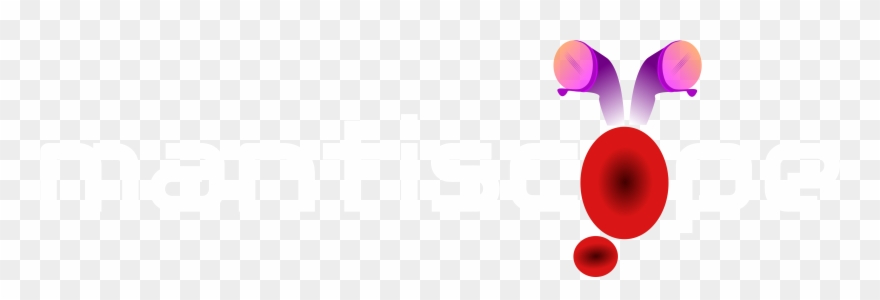 Circle Clipart