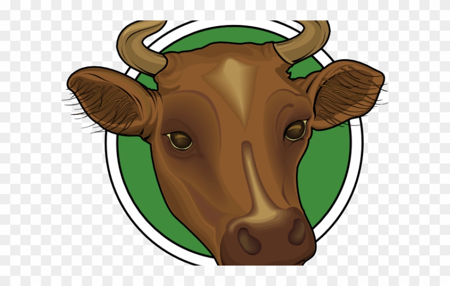 Goats Head Clipart Cow - Head - Png Download