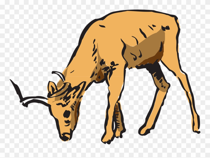Antelope Pinart Royalty Free Stock Photo Animated - Cartoon Deer Eating Corn Clipart