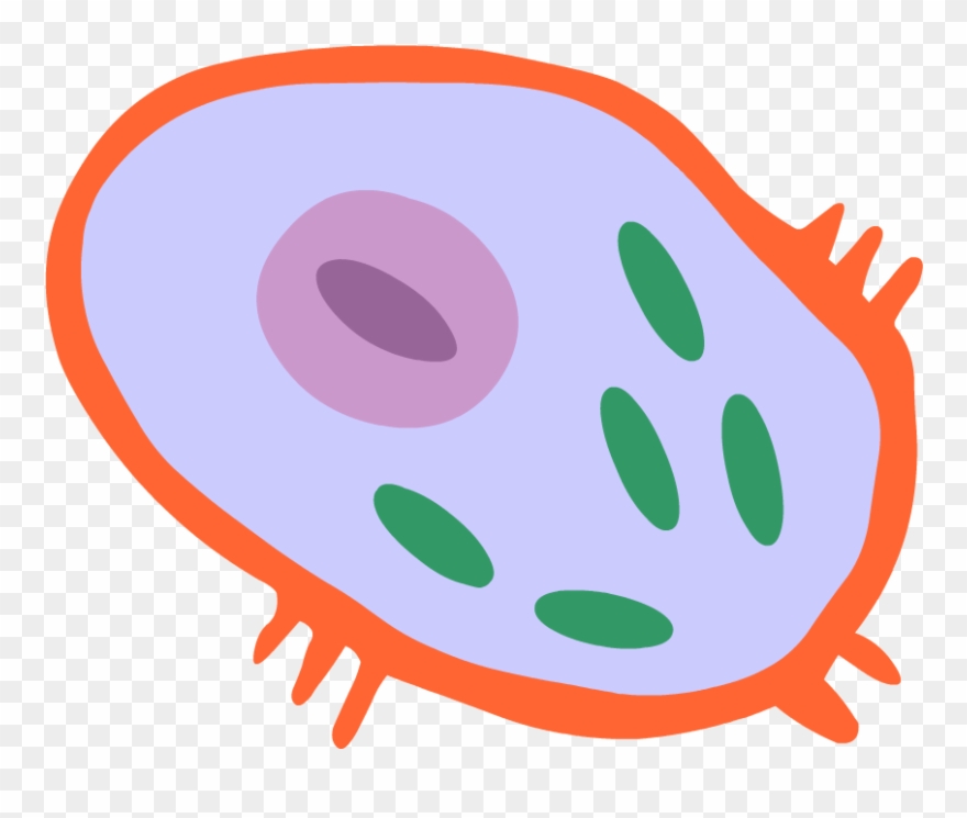 Cell Science Icon Png Clipart