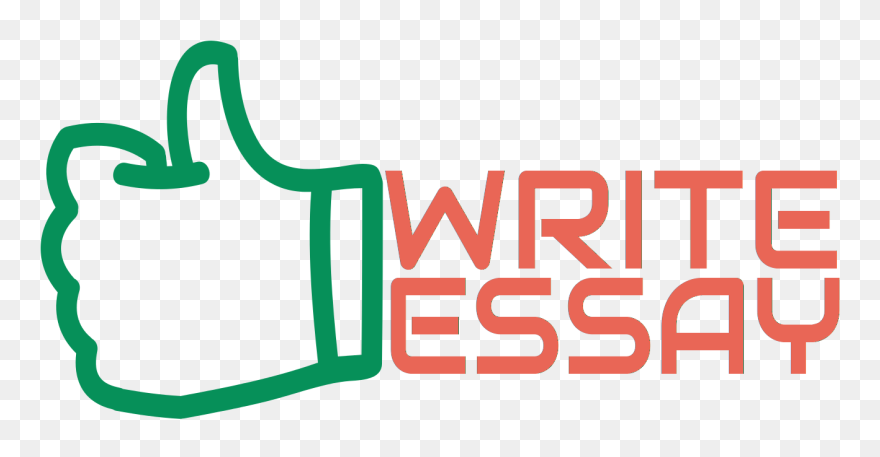 Vector Freeuse Stock Bibliography Clipart Essay Structure - Great Essay - Png Download