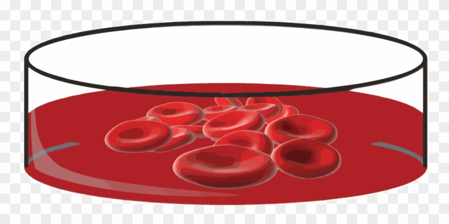 Next Steps - Mammoth Clipart