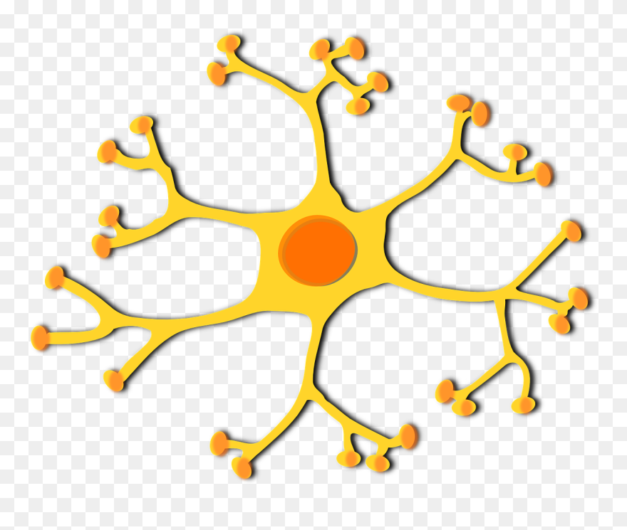 Neuron Clipart Generic - Dendritas De La Neurona - Png Download