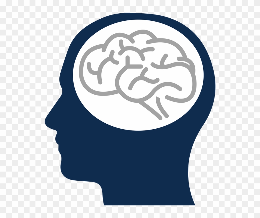 Brain Png Clipart