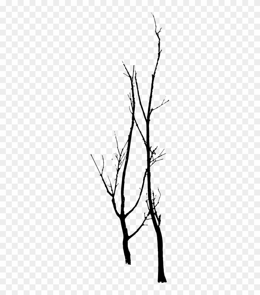 Clip Art Free Stock Architecture Vector Tree Outline - Dead Tree Vector Png Transparent Png