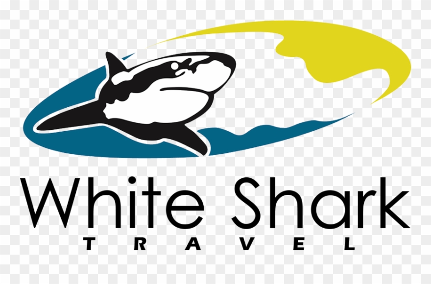 White Shark Travel - White Shark Clipart