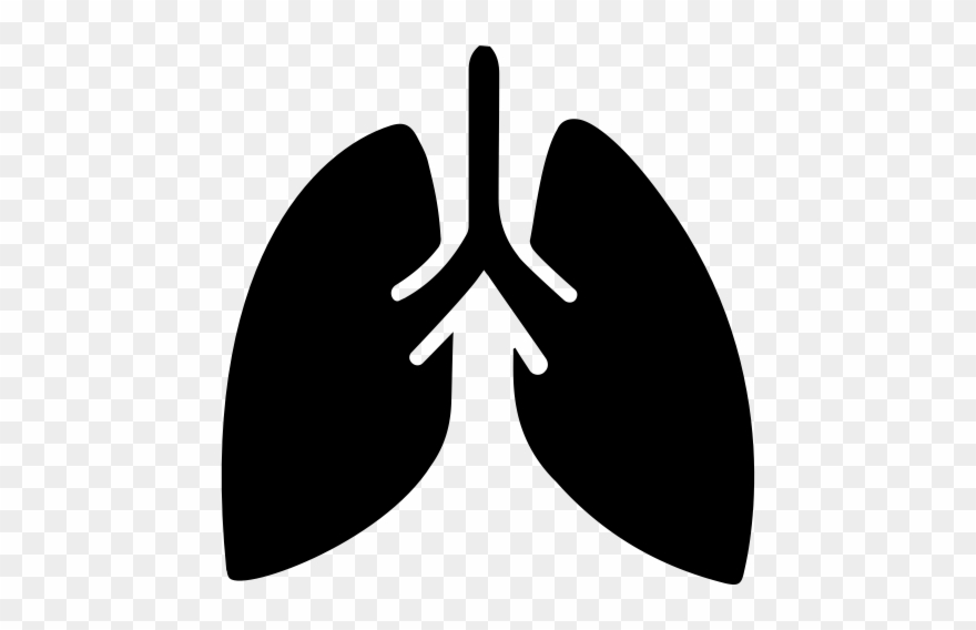 Lungs - Lungs Icon Png Clipart