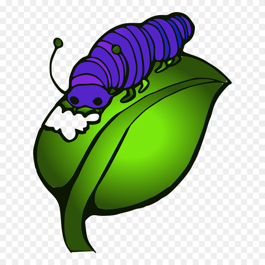 Inchworm Clipart Ulat - หนอน ผีเสื้อ การ์ตูน - Png Download