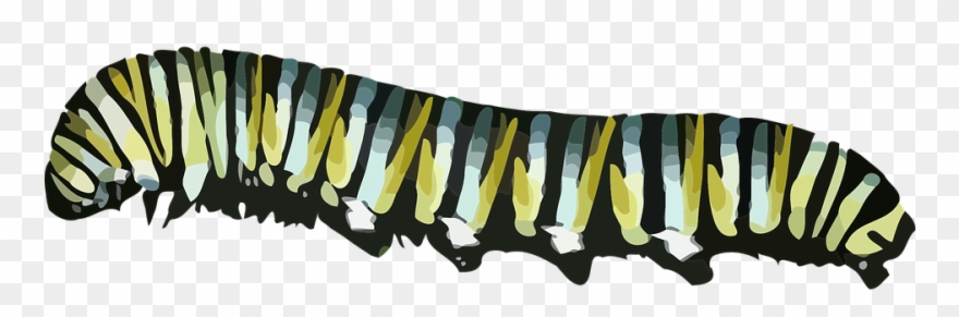 Clip Transparent Download Inchworm Ulat Free On Dumielauxepices - Monarch Butterfly Caterpillar Clipart - Png Download