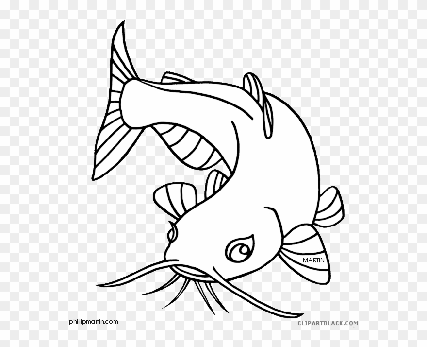 Clipart Library Catfish Clipart Black And White - Drawing Of A Catfish - Png Download