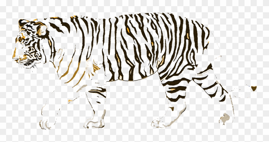 Call And Response - Tiger Clipart
