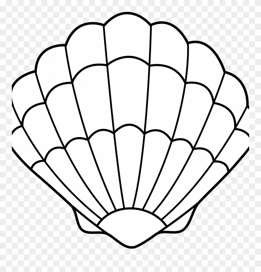Shell Clip Art - Sea Shell Stencil - Png Download