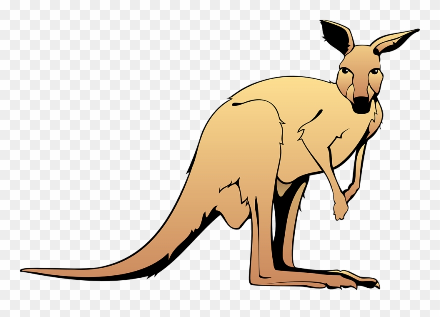 Kangaroo In - Kangaroo Clipart - Png Download