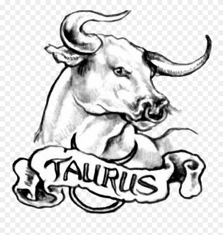 Taurus Simple Bull Tattoo Design For Men - Taurus Tattoo Clipart