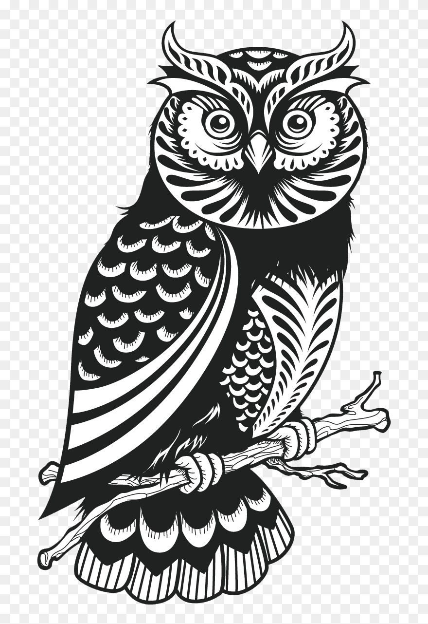 Owl Black And White Clipart