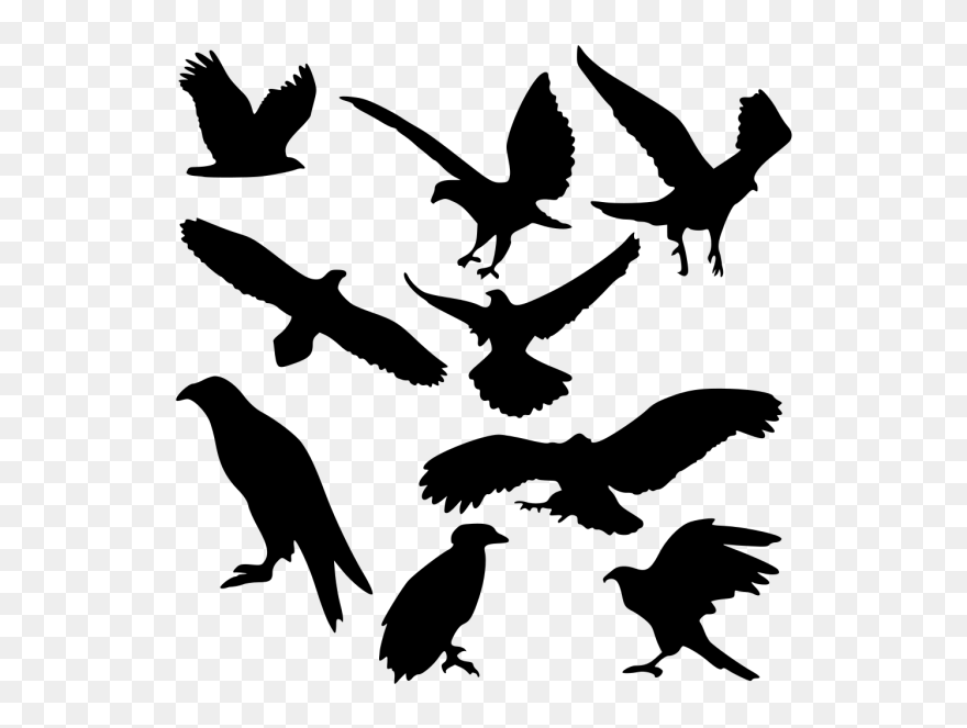 Bird Silhouettes Png Clip Art - Transparent Png Eagle Silhouette
