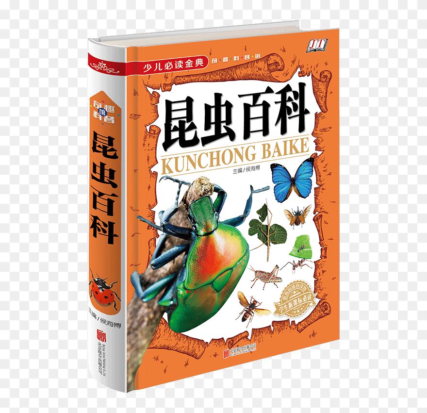 昆虫百科 （精装版）少儿金典 奇趣科普 精装图书 学生新课标读物 百科全书硬壳书籍 百科全书儿童动物书籍昆虫书籍儿童科普百科全 - Souvenirs Entomologiques .. Clipart