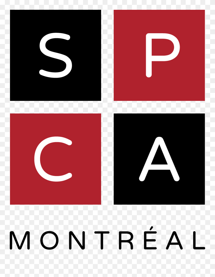 Spca Montreal Logo Clipart
