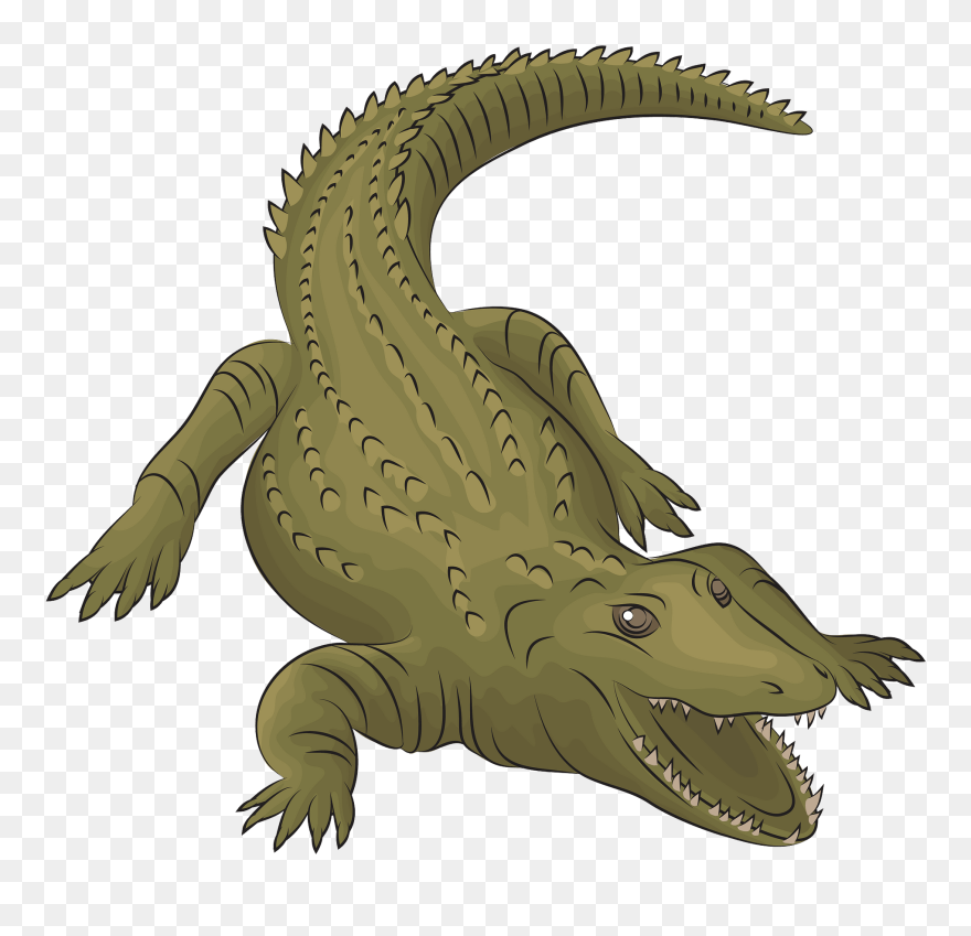 Nile Crocodile Clipart - Crocodile Clipart - Png Download