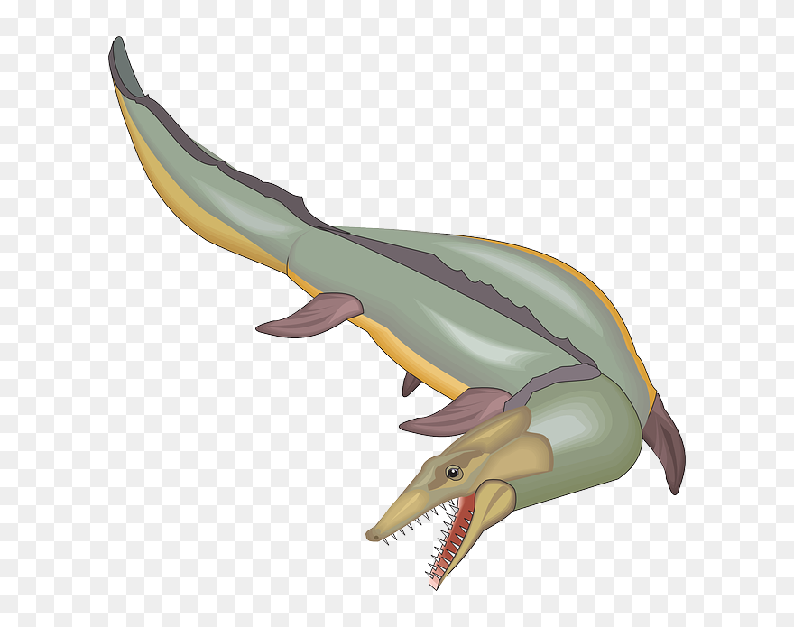 Fish, Swimming, Tail, Ancient, Aquatic - Mosasaur Clipart - Png Download