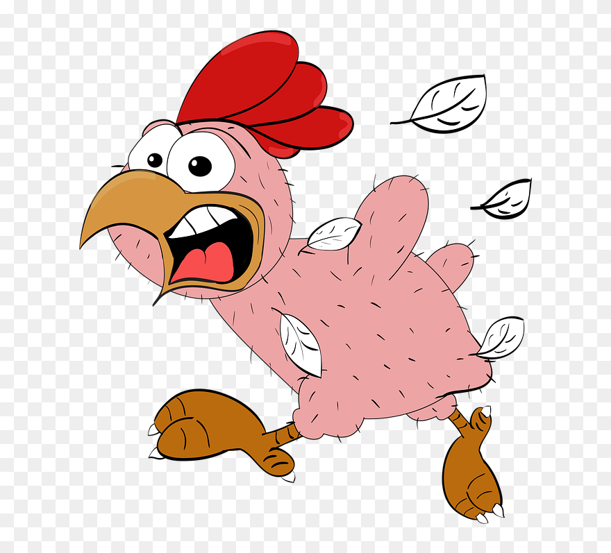 Plucking Chicken Cartoon Clipart