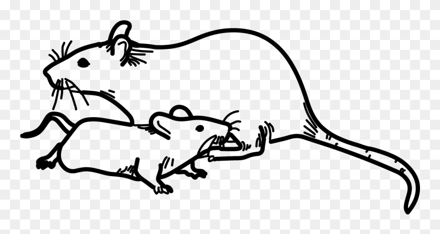 Image - Illustration Clipart