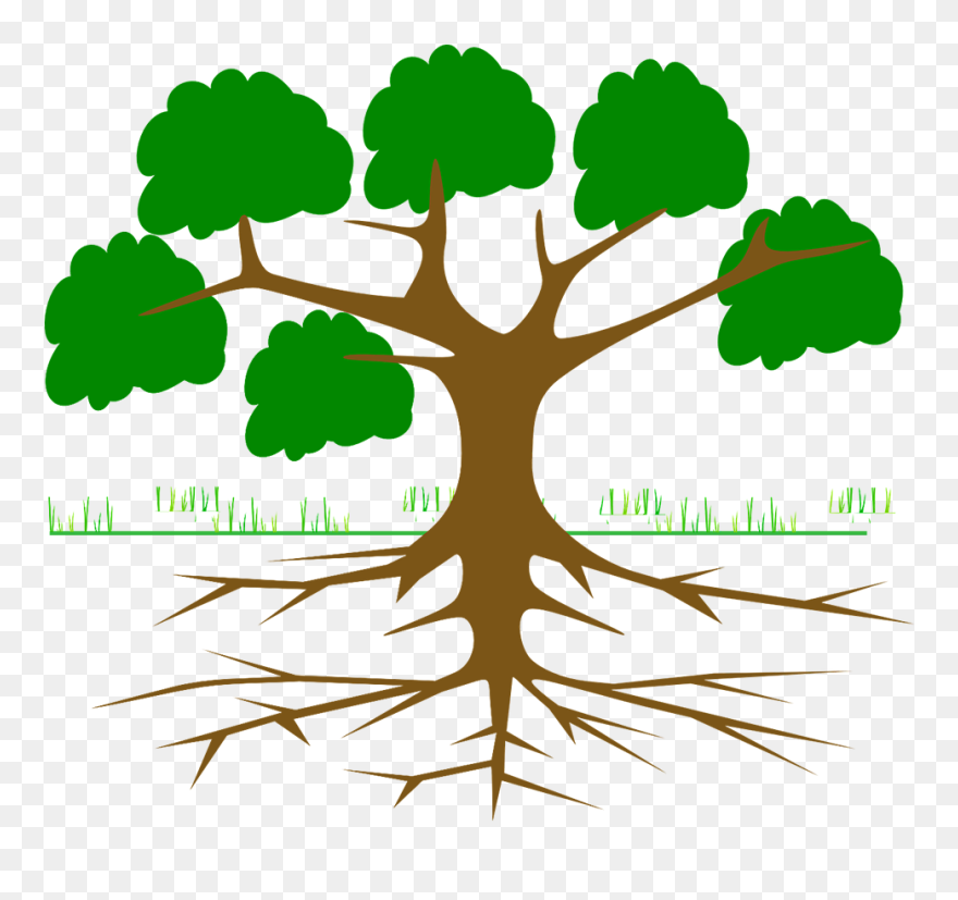 Tree With Roots Cartoon Clipart