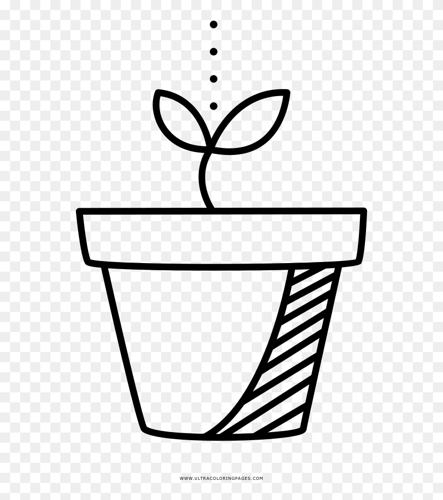 Soybean Drawing - Brotar Desenho Clipart