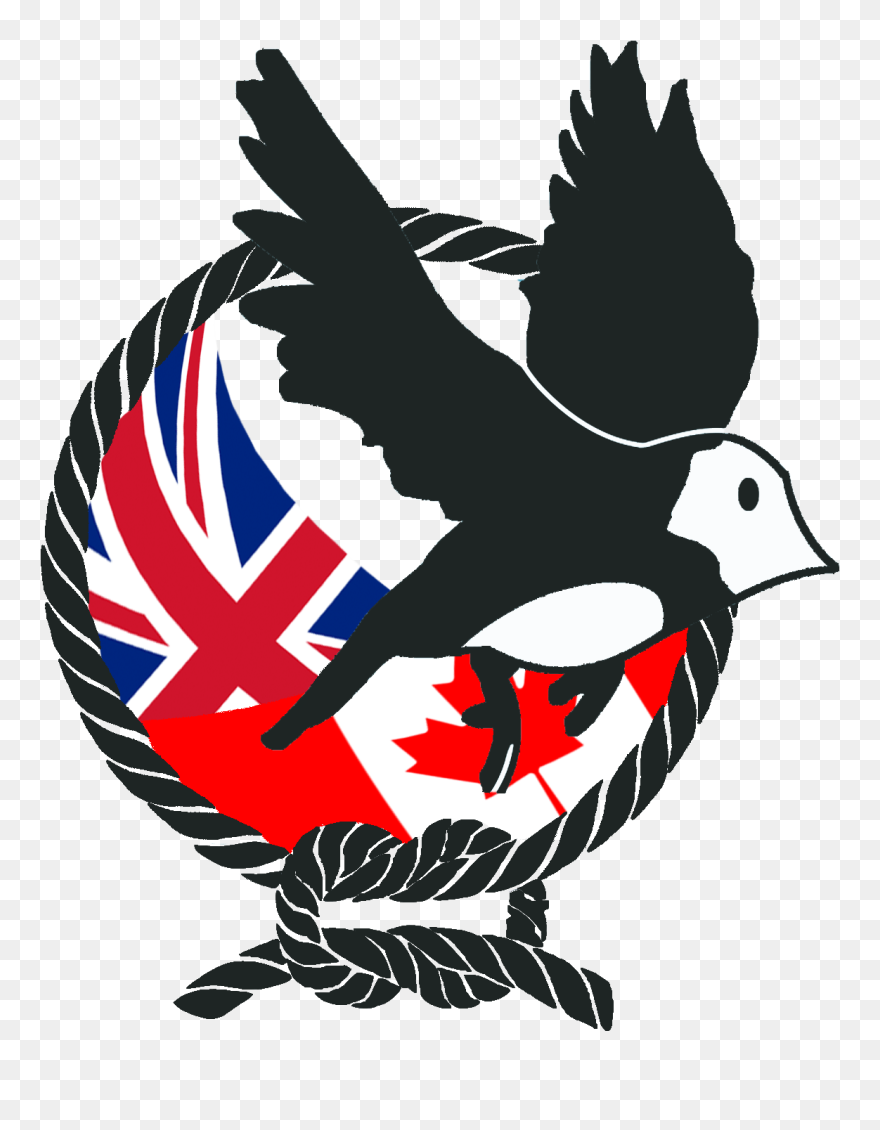 Image01 - Illustration Clipart