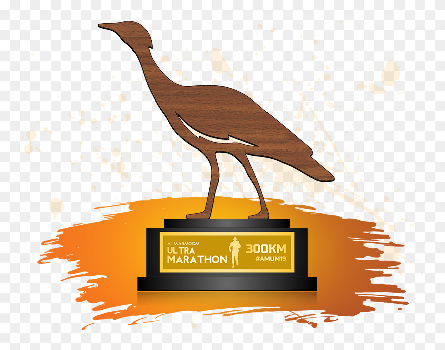 Meraas Al Marmoom Ultramarathon Clipart