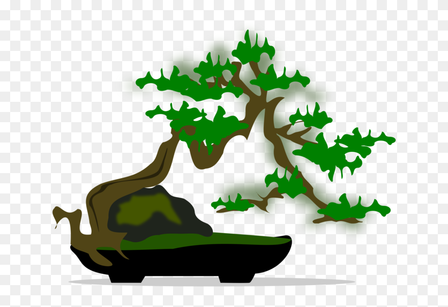 Plant,leaf,houseplant - Bonsai Png Clipart