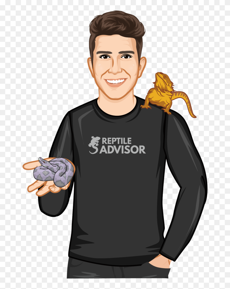 Cartoon Clipart