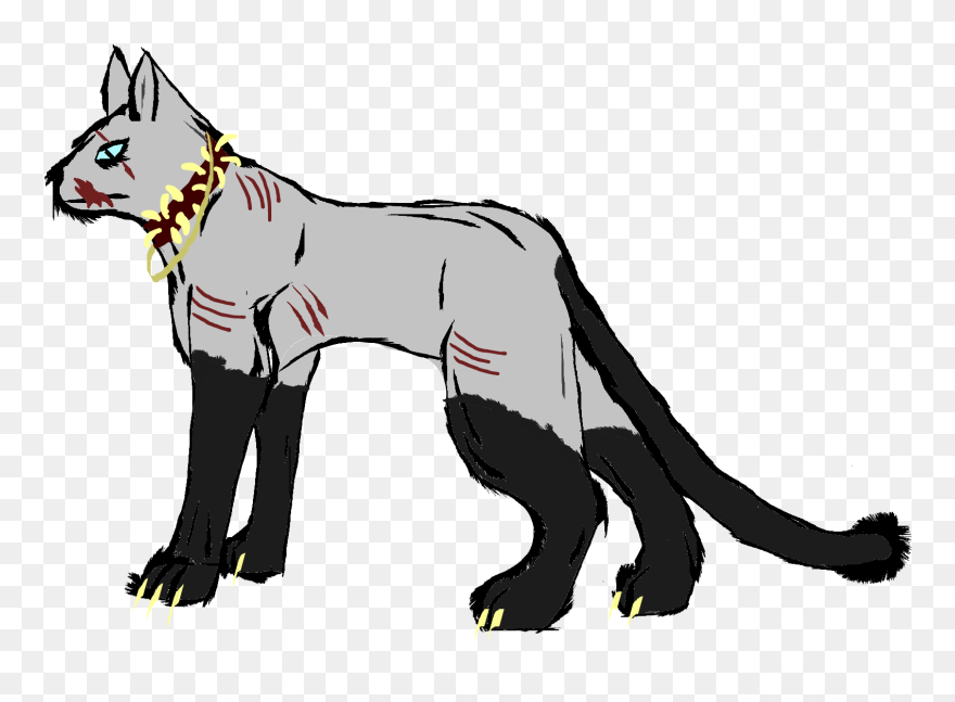 Y6lacui - Illustration Clipart